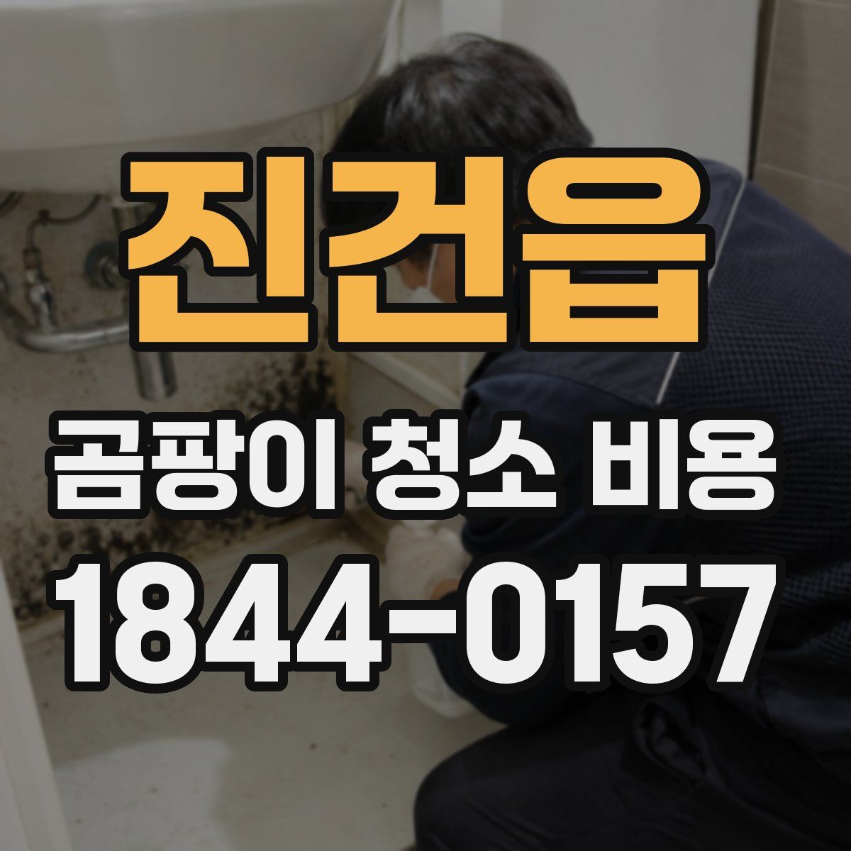 진건읍 곰팡이 청소 비용