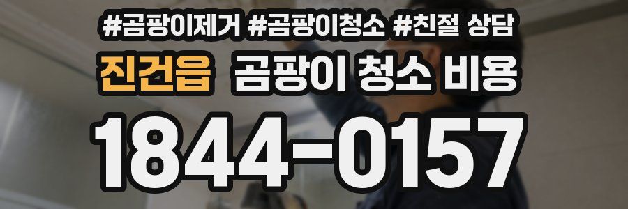 진건읍 곰팡이 청소 비용