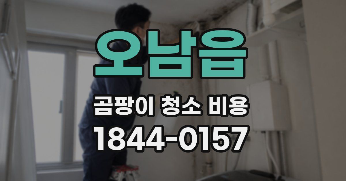 오남읍 곰팡이 청소 비용