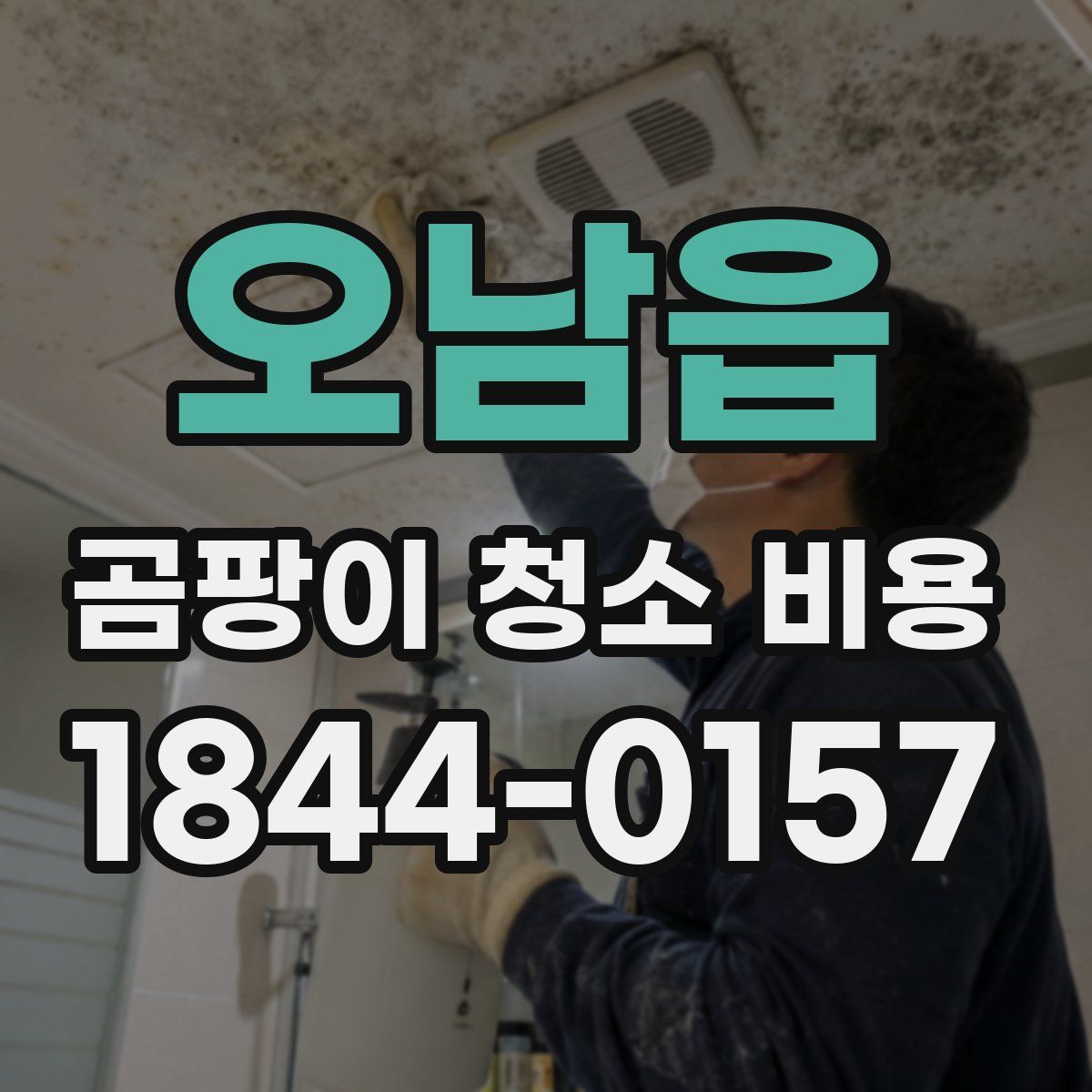 오남읍 곰팡이 청소 비용