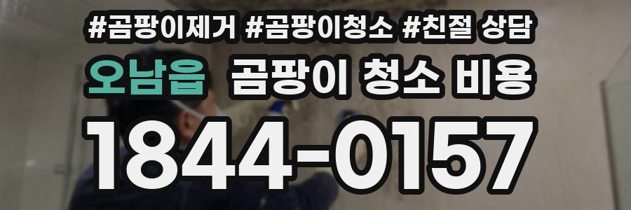 오남읍 곰팡이 청소 비용