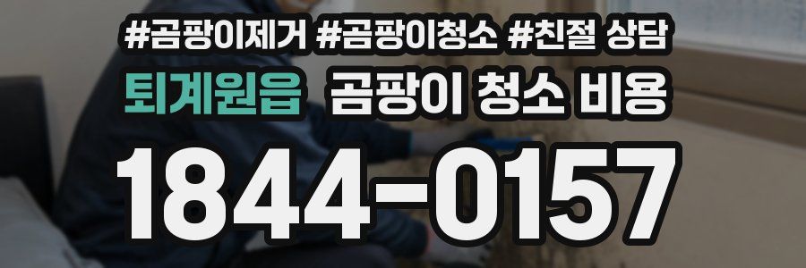 퇴계원읍 곰팡이 청소 비용