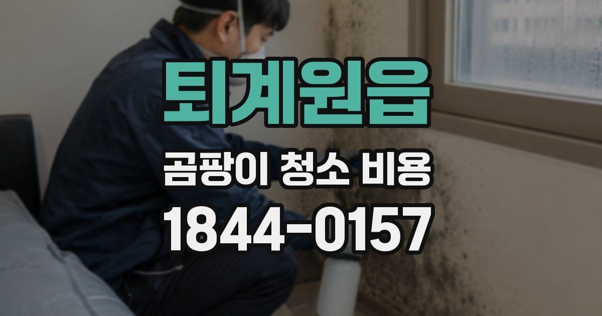 퇴계원읍 곰팡이 청소 비용