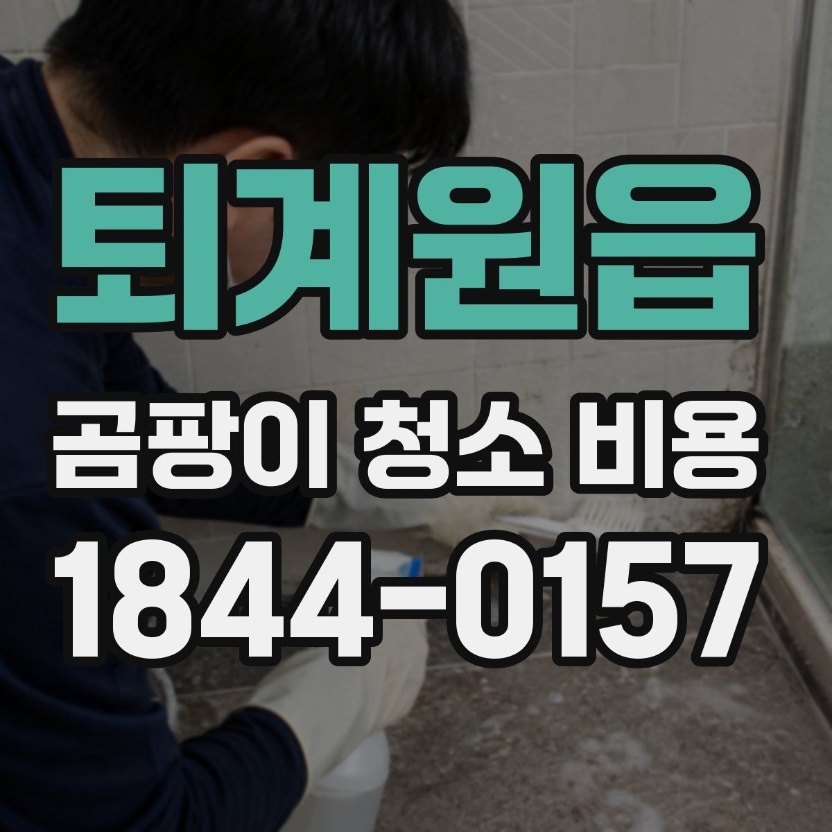 퇴계원읍 곰팡이 청소 비용