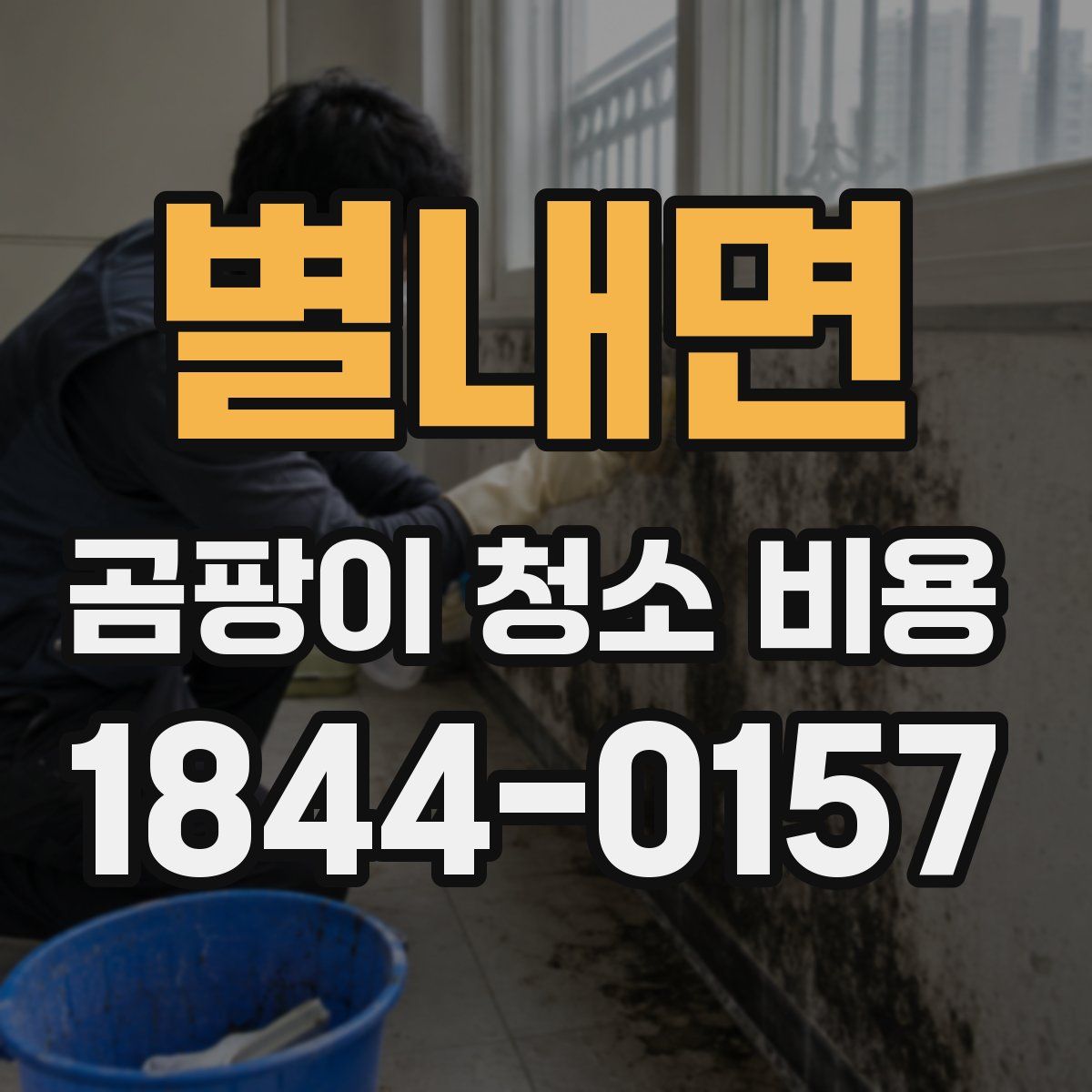 별내면 곰팡이 청소 비용
