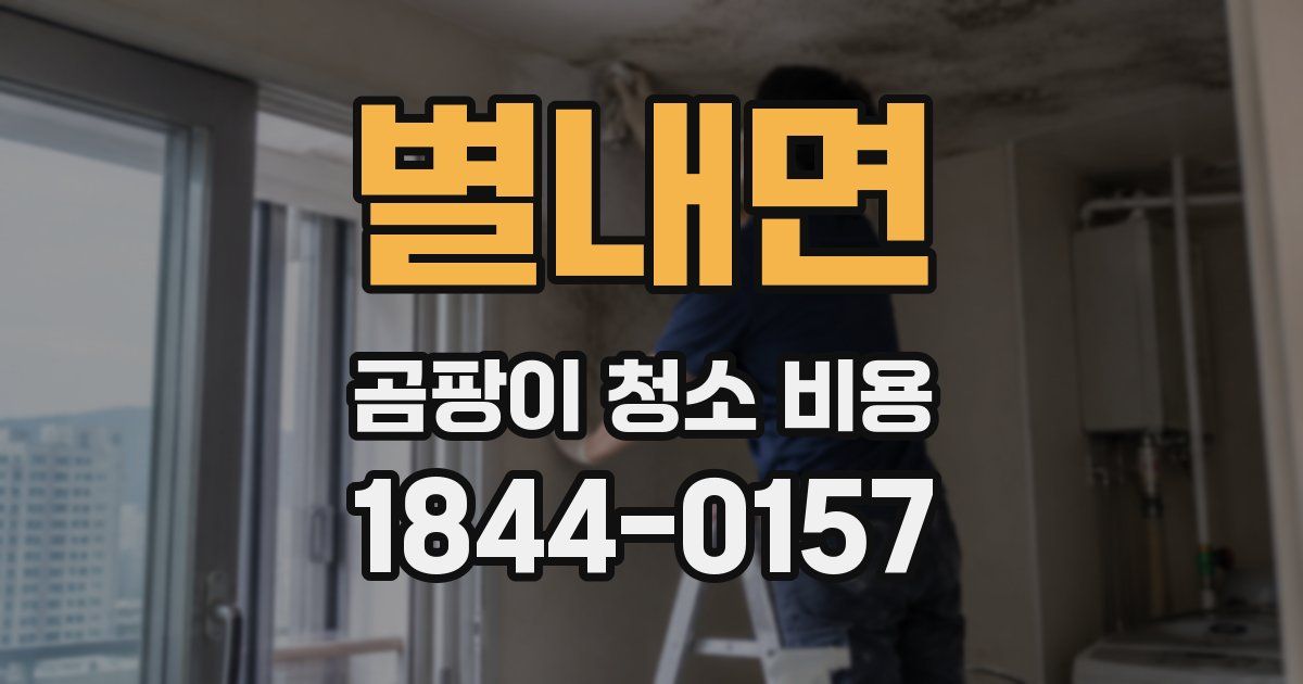 별내면 곰팡이 청소 비용