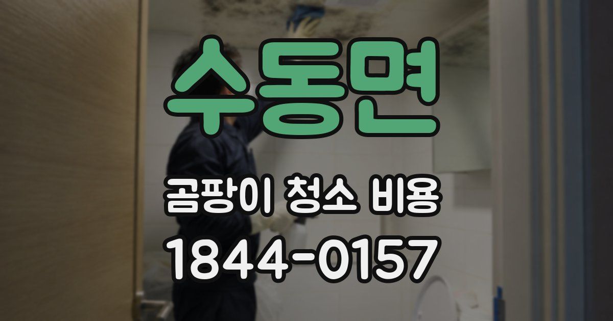 수동면 곰팡이 청소 비용
