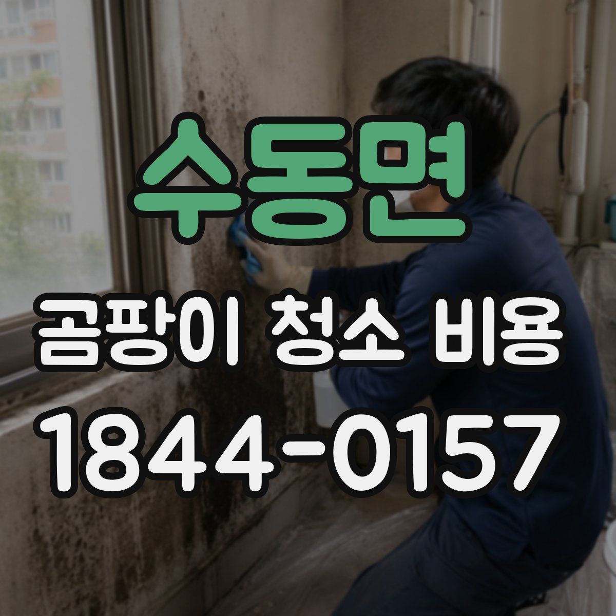 수동면 곰팡이 청소 비용