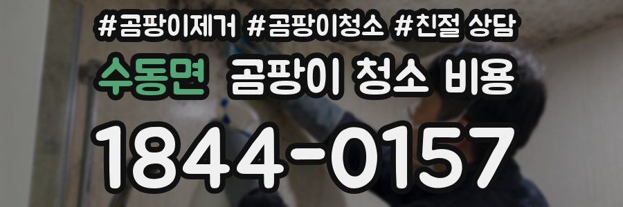 수동면 곰팡이 청소 비용