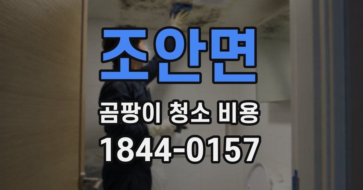 조안면 곰팡이 청소 비용