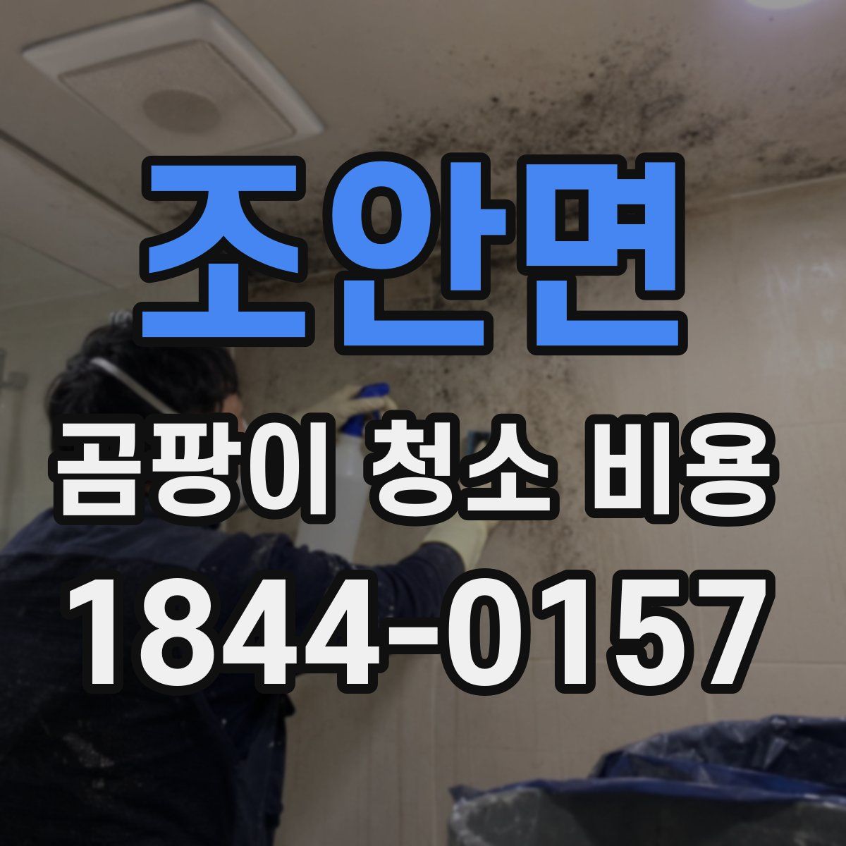 조안면 곰팡이 청소 비용