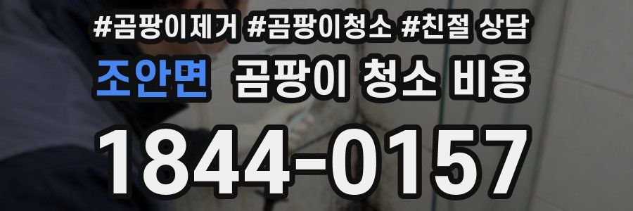 조안면 곰팡이 청소 비용