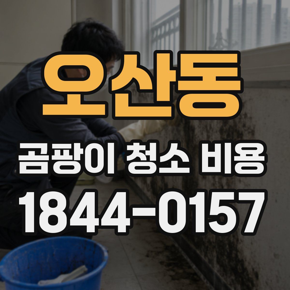 오산동 곰팡이 청소 비용