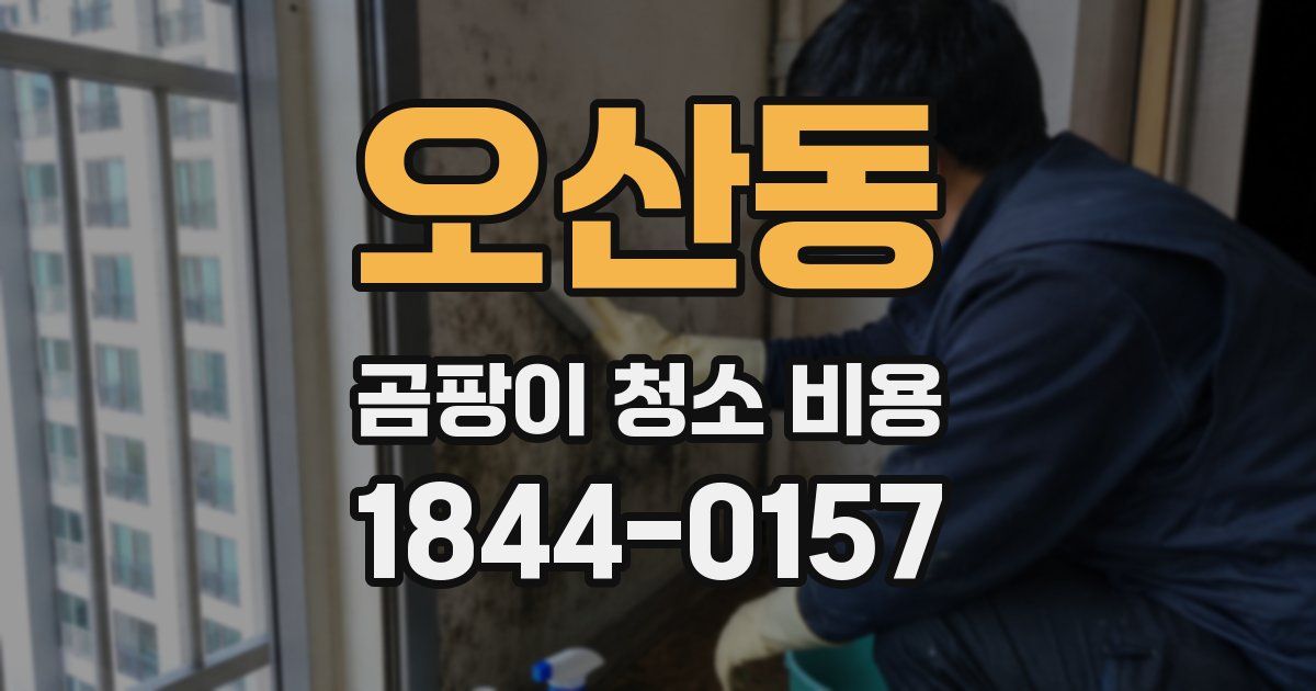 오산동 곰팡이 청소 비용
