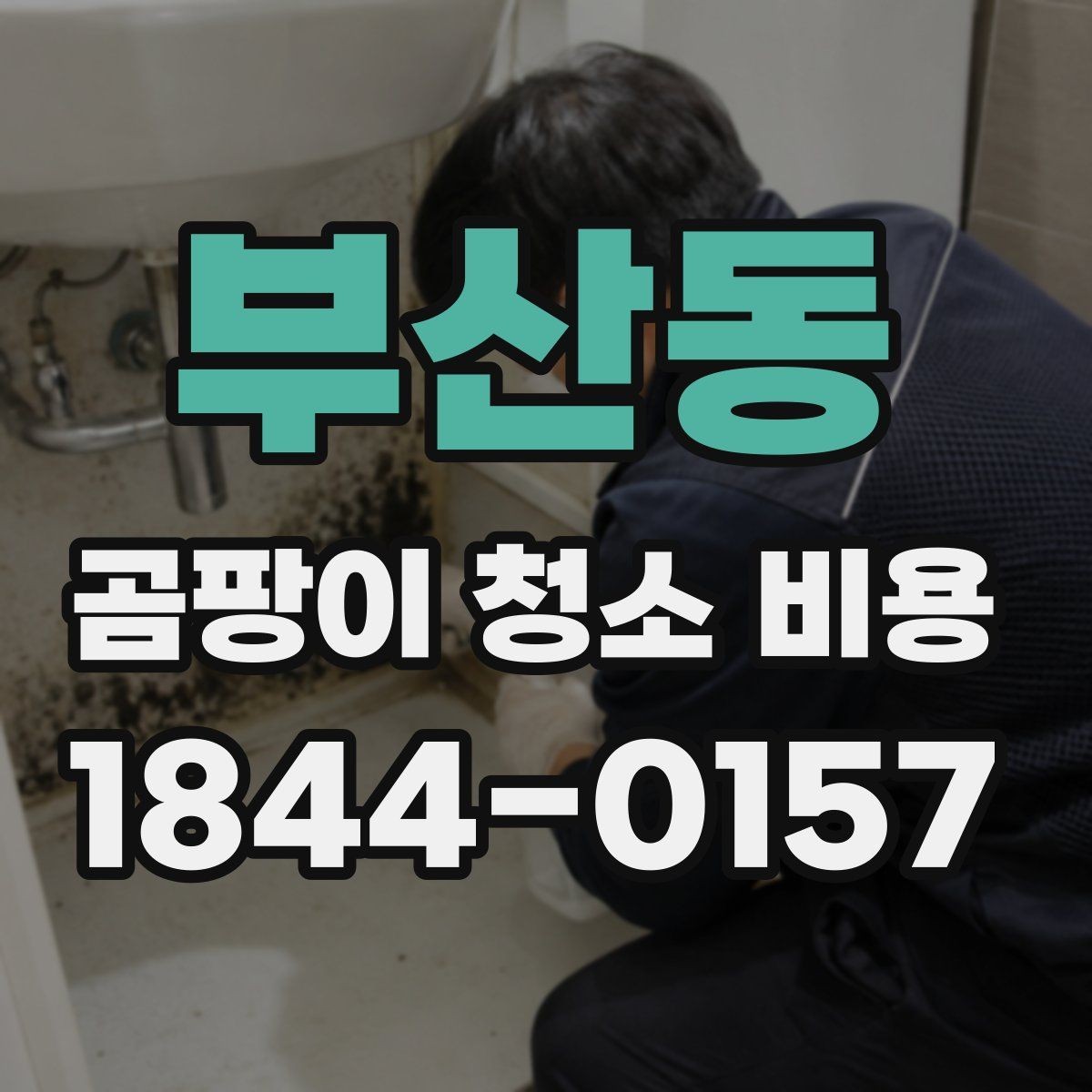 부산동 곰팡이 청소 비용 상담 시 자주 하는 질문 모음
