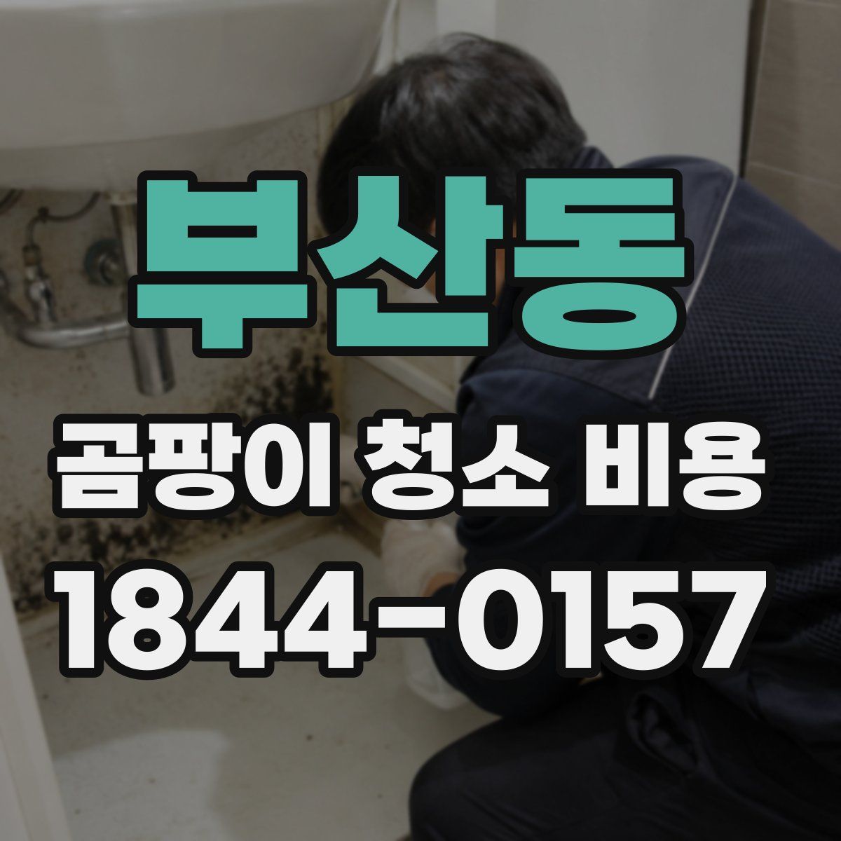 부산동 곰팡이 청소 비용