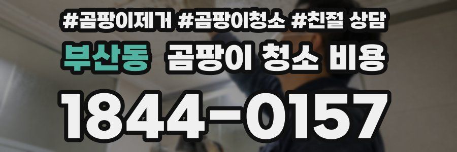 부산동 곰팡이 청소 비용