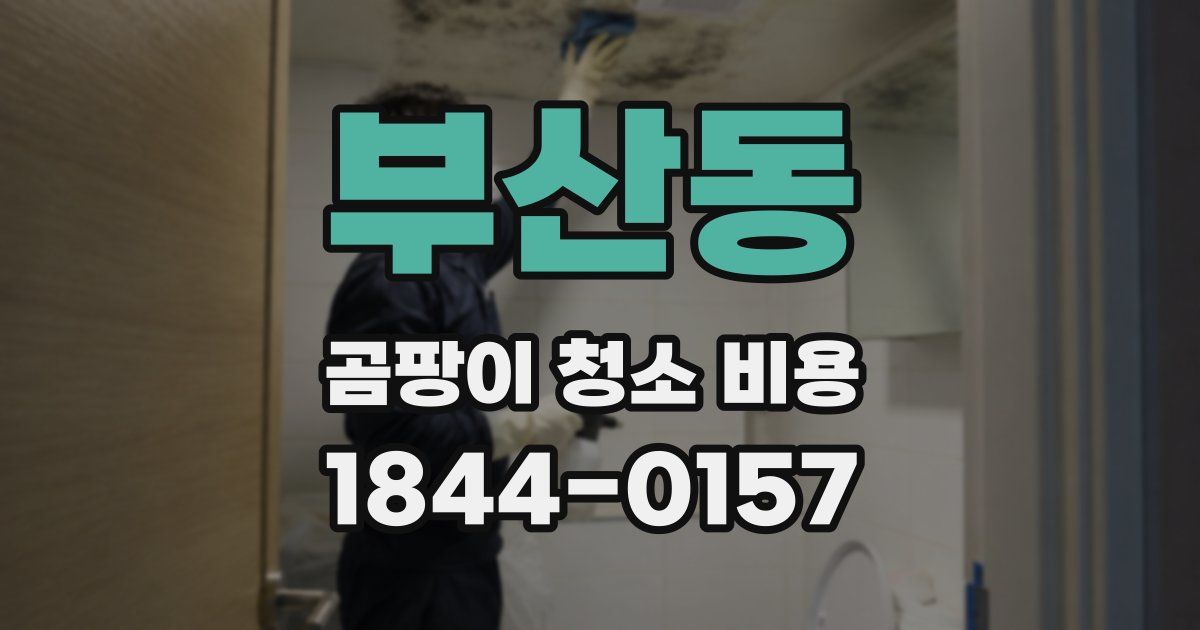 부산동 곰팡이 청소 비용