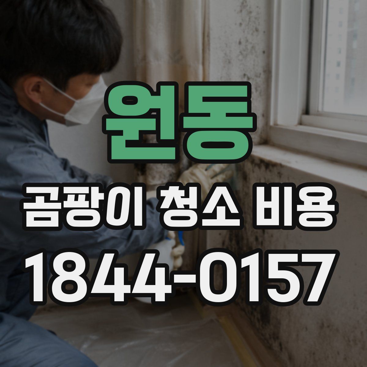 원동 곰팡이 청소 비용