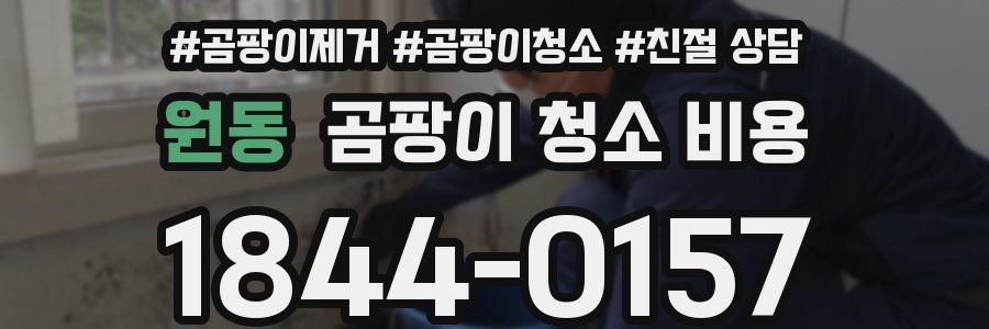 원동 곰팡이 청소 비용