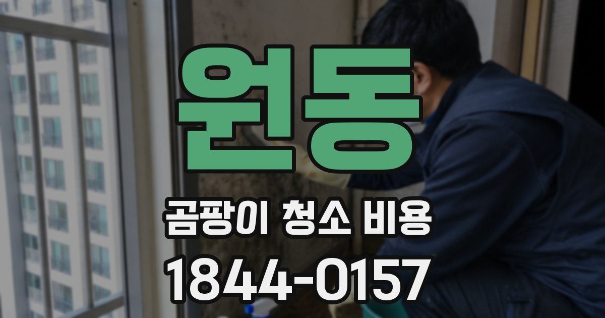 원동 곰팡이 청소 비용
