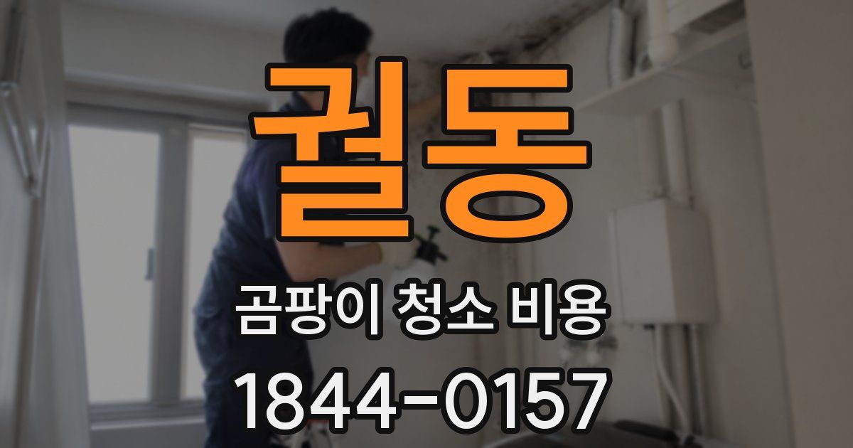 궐동 곰팡이 청소 비용