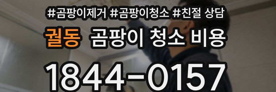 궐동 곰팡이 청소 비용
