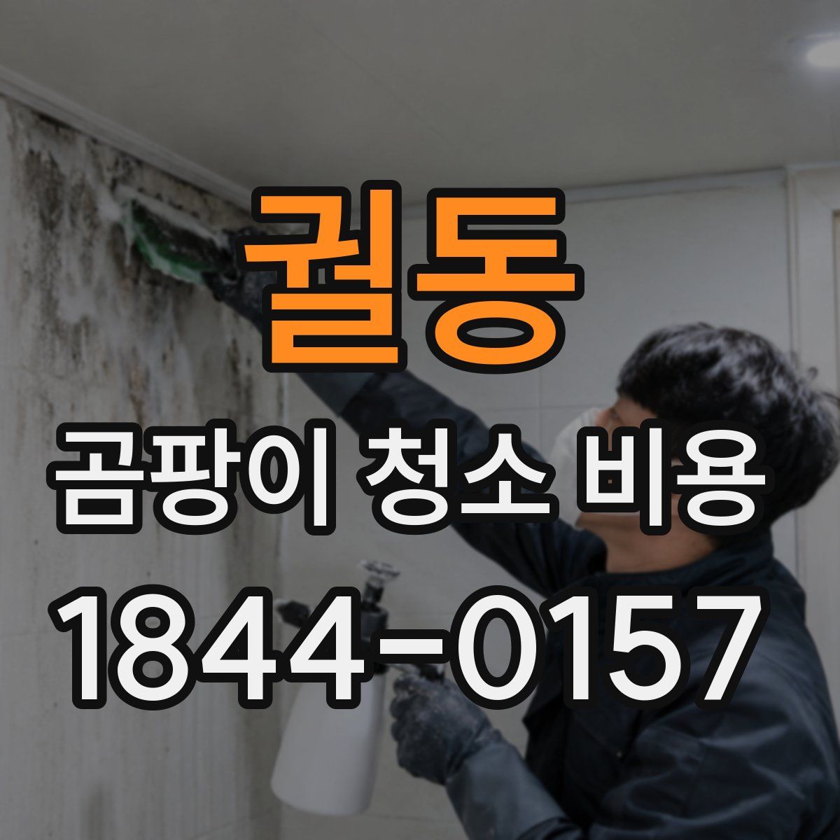 궐동 곰팡이 청소 비용