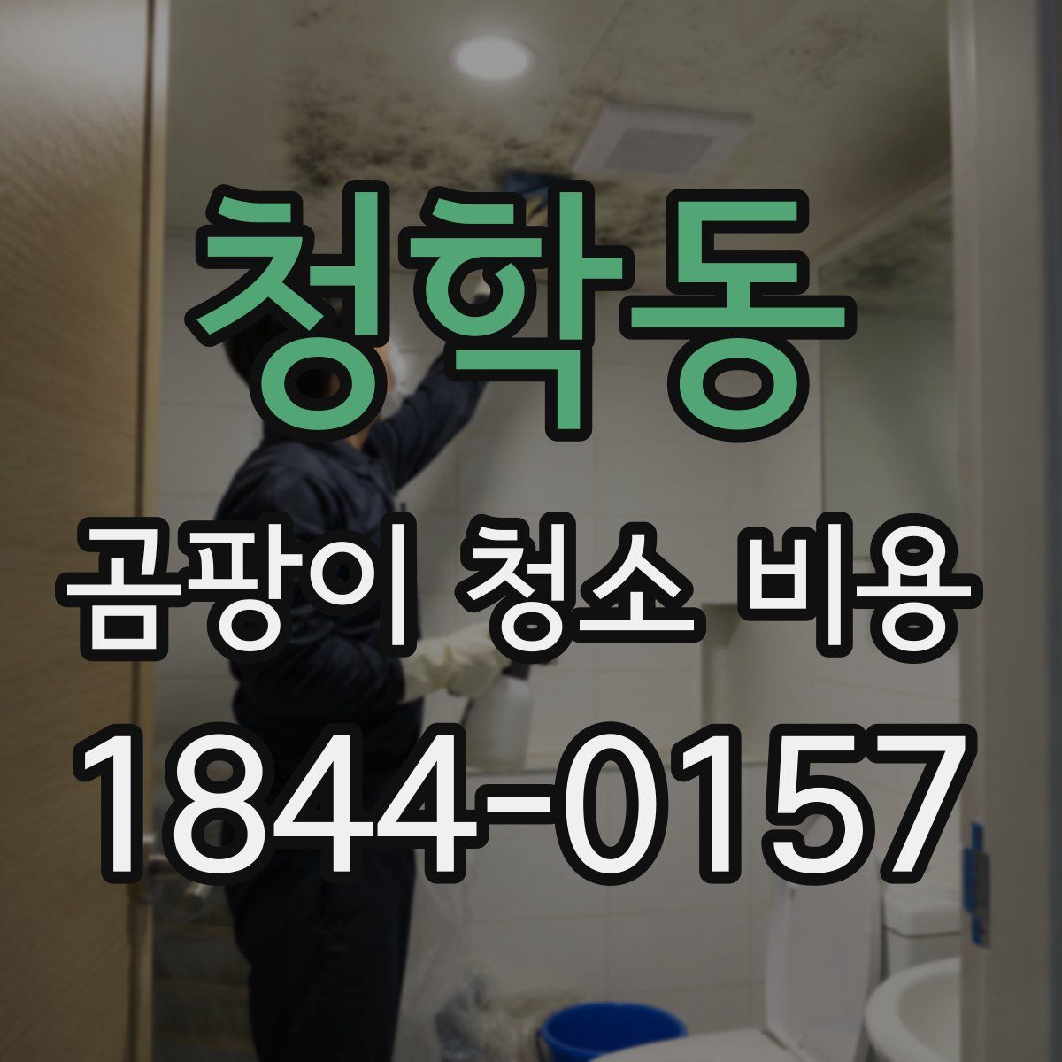 청학동 곰팡이 청소 비용