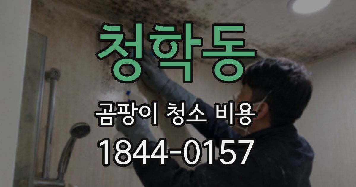 청학동 곰팡이 청소 비용