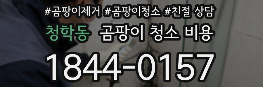 청학동 곰팡이 청소 비용