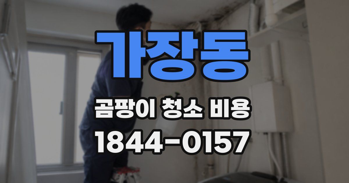 가장동 곰팡이 청소 비용