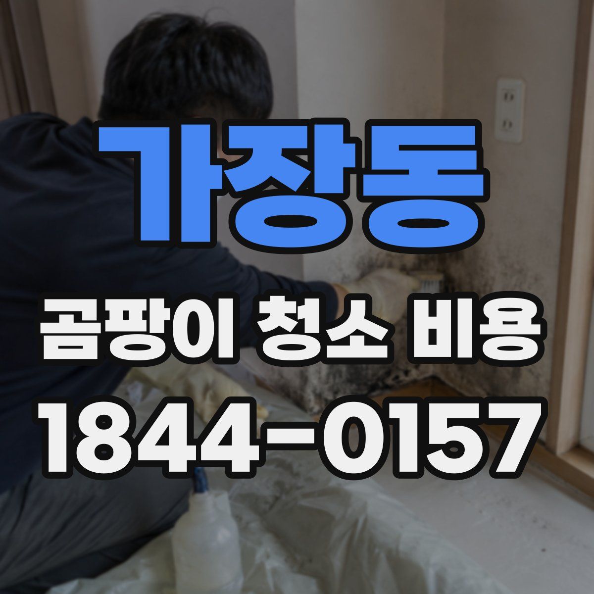 가장동 곰팡이 청소 비용
