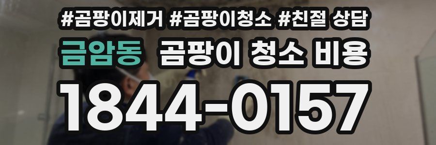 금암동 곰팡이 청소 비용
