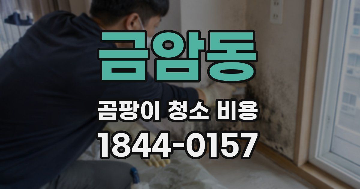 금암동 곰팡이 청소 비용