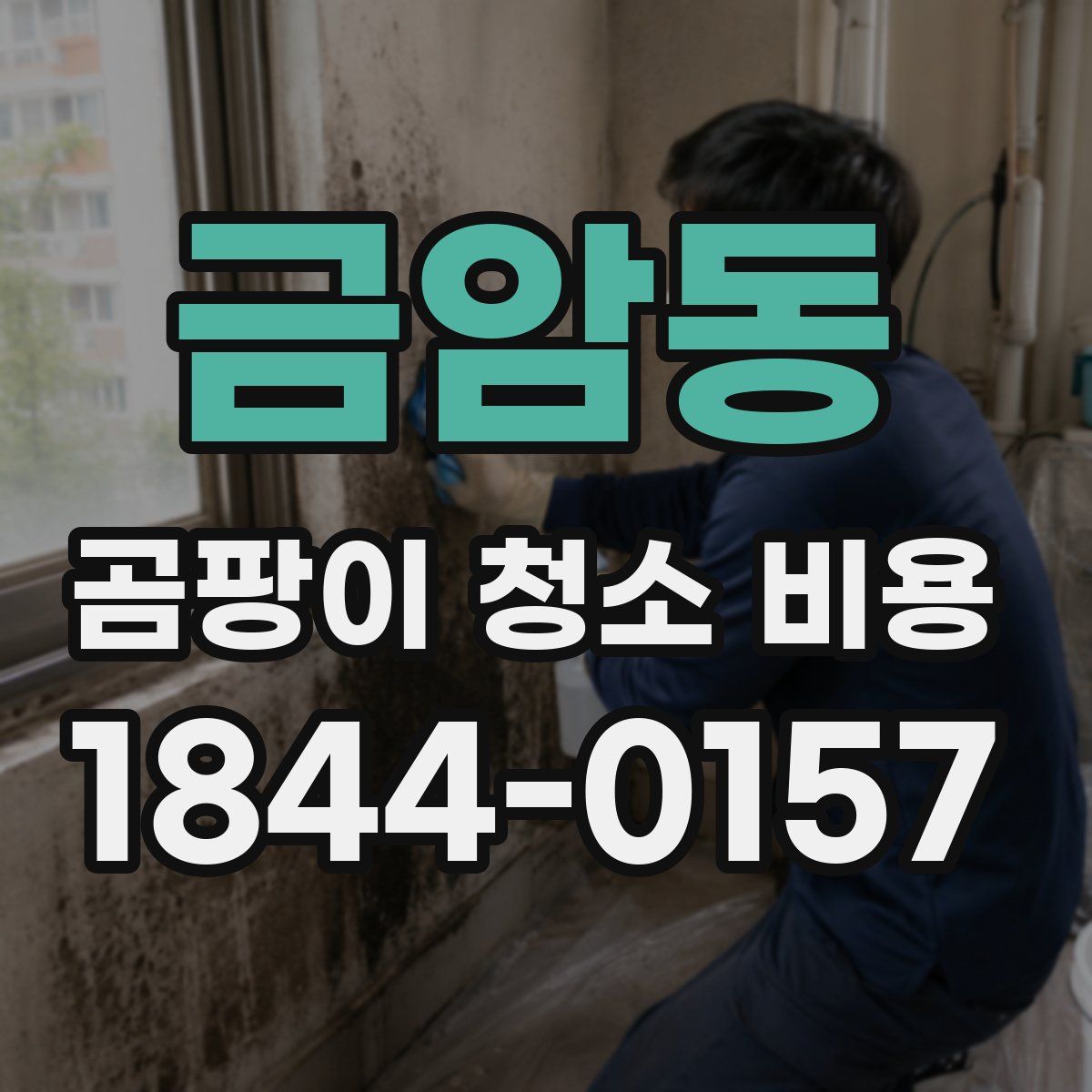 금암동 곰팡이 청소 비용