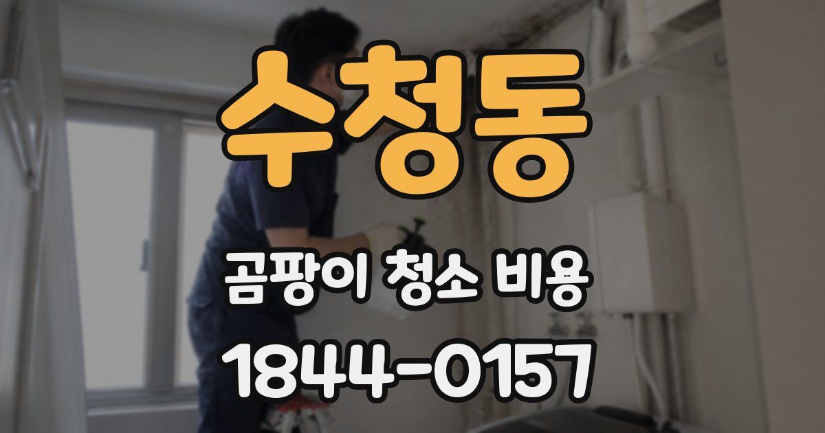 수청동 곰팡이 청소 비용
