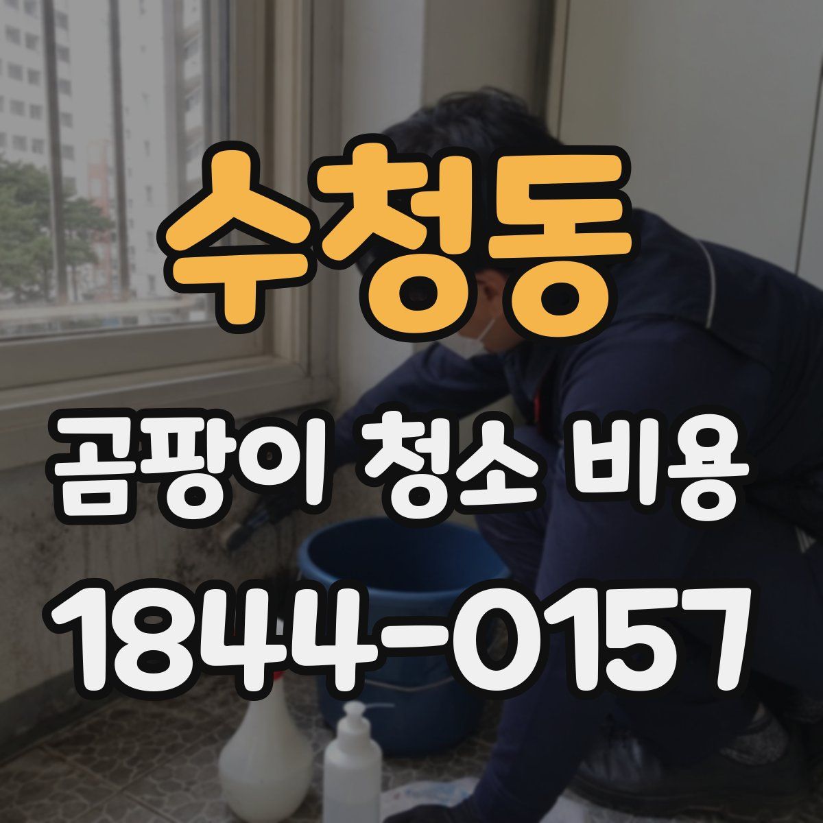 수청동 곰팡이 청소 비용