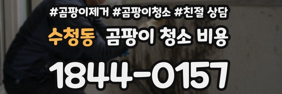 수청동 곰팡이 청소 비용