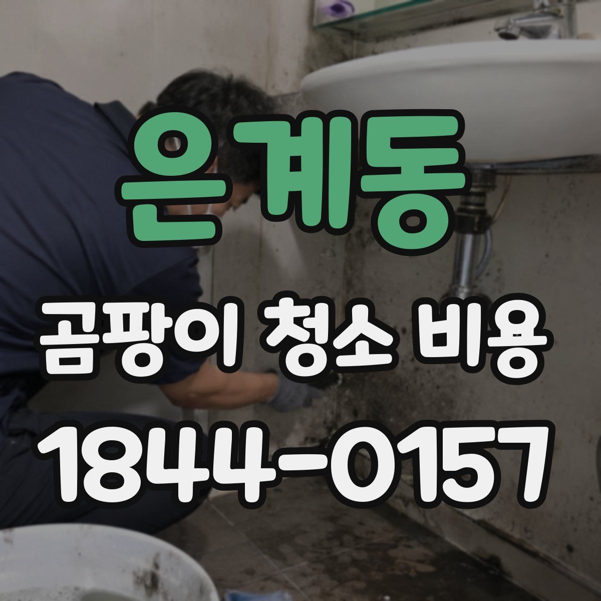 은계동 곰팡이 청소 비용