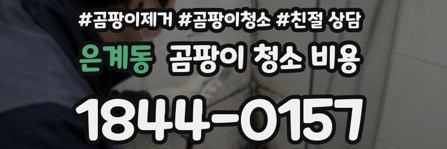 은계동 곰팡이 청소 비용