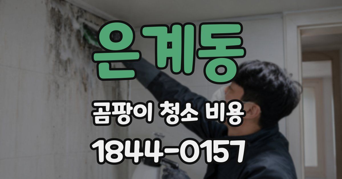 은계동 곰팡이 청소 비용