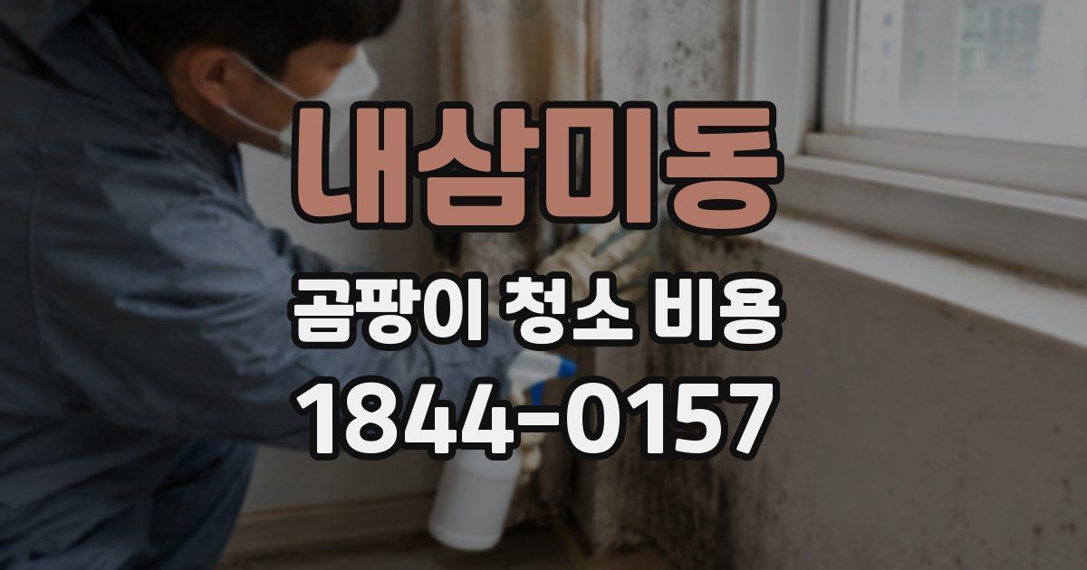 내삼미동 곰팡이 청소 비용