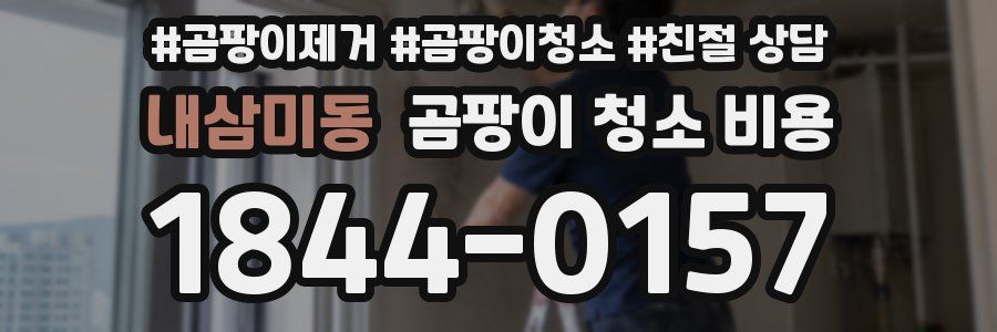 내삼미동 곰팡이 청소 비용