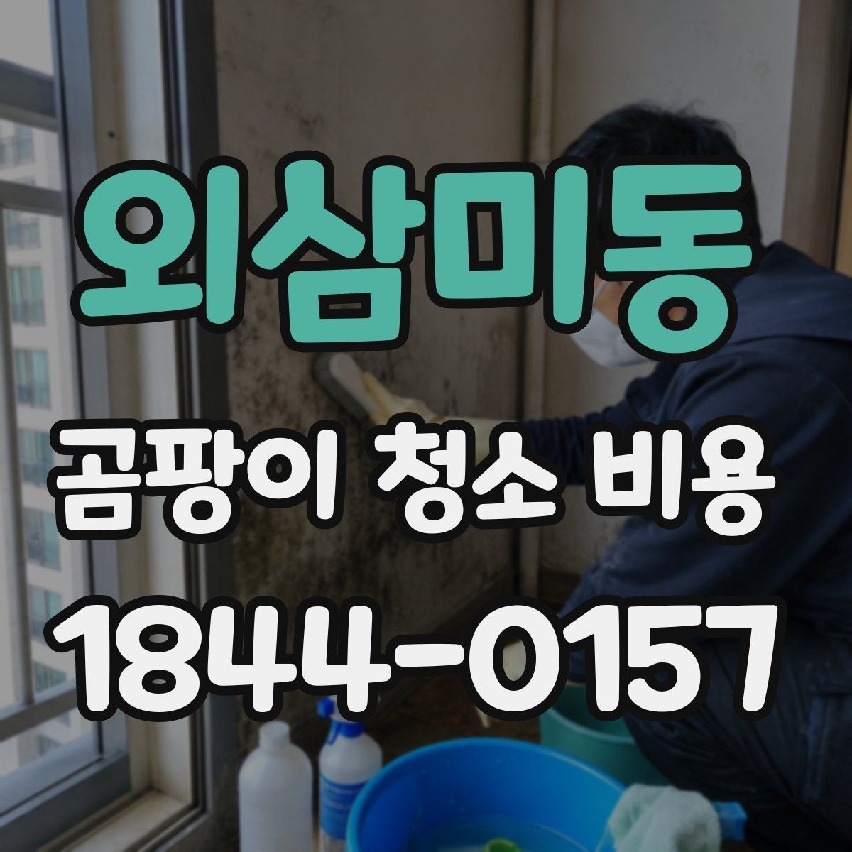 외삼미동 곰팡이 청소 비용 비교 시 실제로 봐야 할 기준
