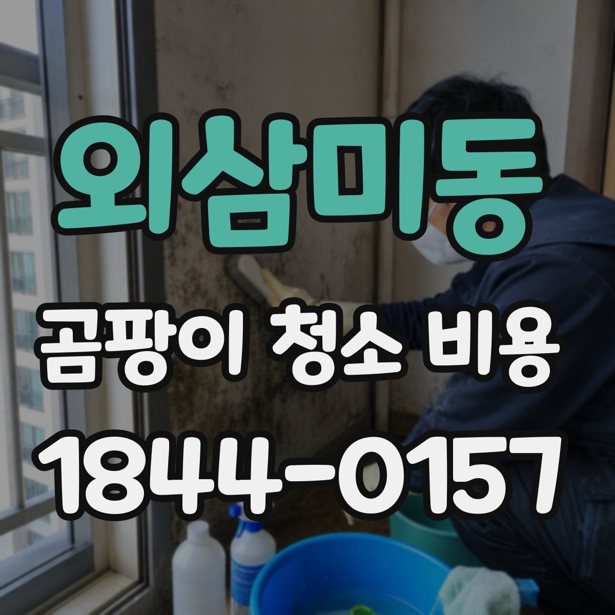 외삼미동 곰팡이 청소 비용