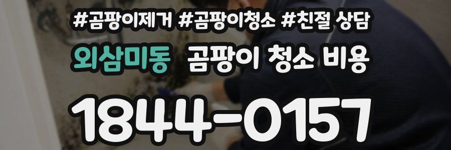외삼미동 곰팡이 청소 비용