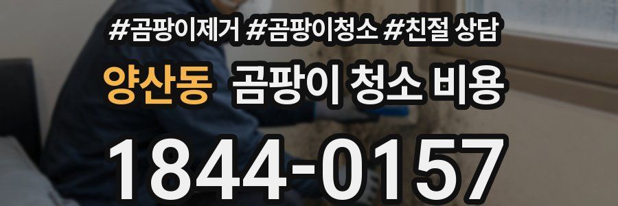 양산동 곰팡이 청소 비용