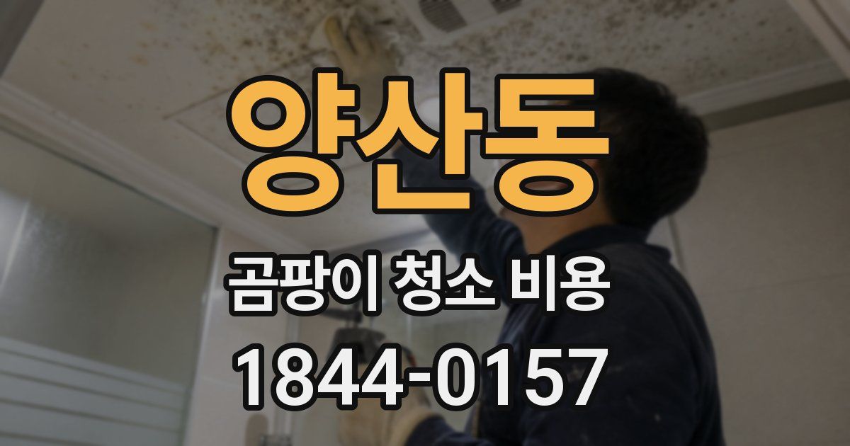 양산동 곰팡이 청소 비용