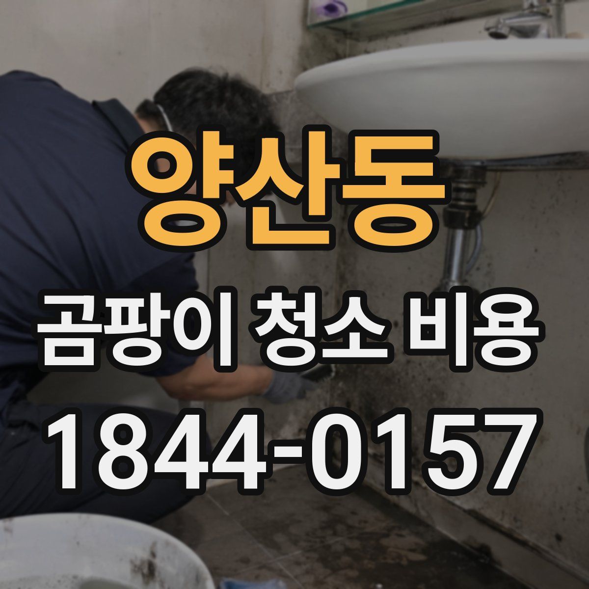 양산동 곰팡이 청소 비용